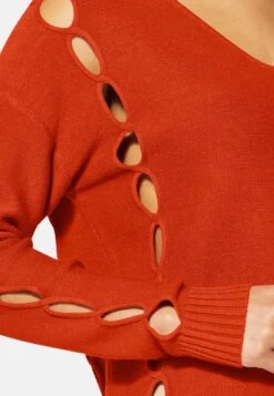 MIT CUTOUTS UND VAUSSCHNITT - Strickpullover - Papaya -Madeleine Mode d8a5d5daa1b14c5ba2f47920c01b2fc4